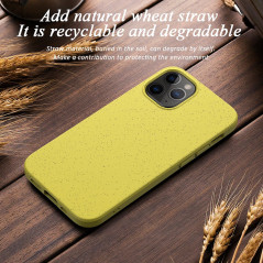 Capa iPhone 12 Biodegradável Verde Água