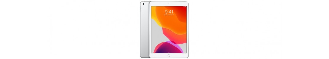 Capas de tablet específicas para Apple iPad 10.2 polegadas de 2019